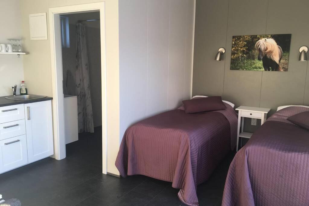 Olfus Stryta Apartment 3 מראה חיצוני תמונה