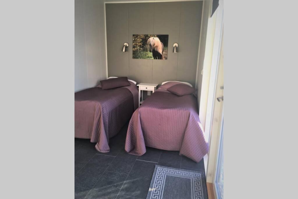 Olfus Stryta Apartment 3 מראה חיצוני תמונה
